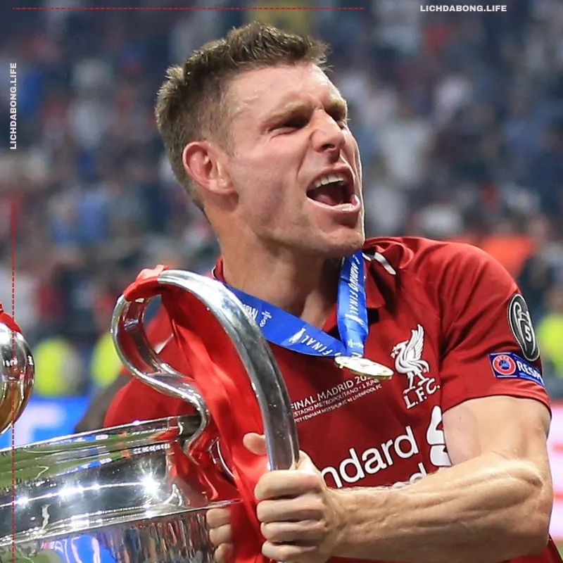 Danh hiệu đạt được của James Milner